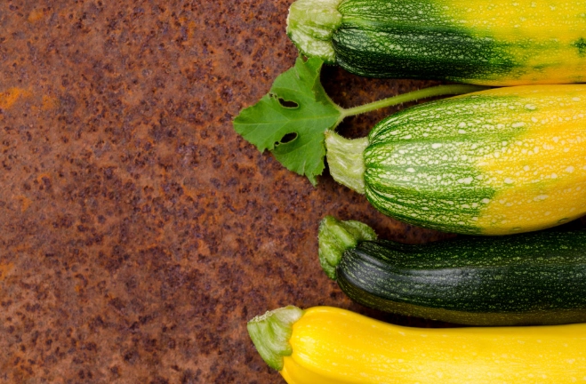 櫛瓜種類比較 櫛瓜種類比較