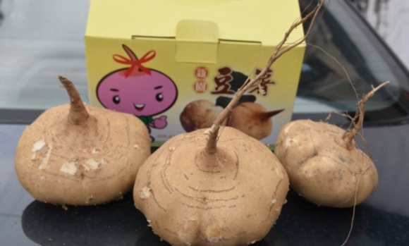 豆薯荸薺好處