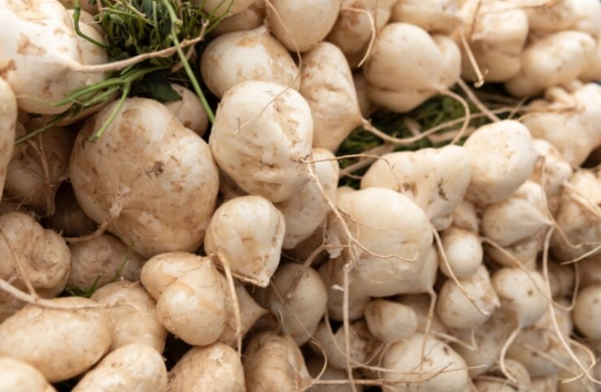 豆薯食用方法 豆薯食用方法