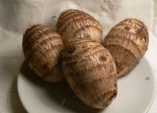 豆薯健康益處 豆薯健康益處