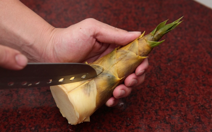 竹筍切絲技巧 竹筍切絲技巧