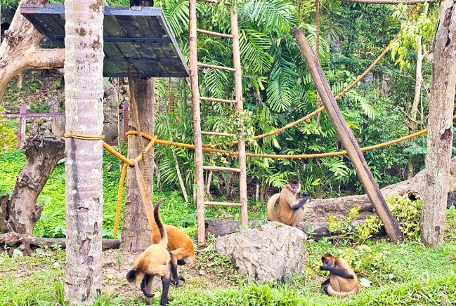 宿霧旅遊景點 宿霧旅遊景點