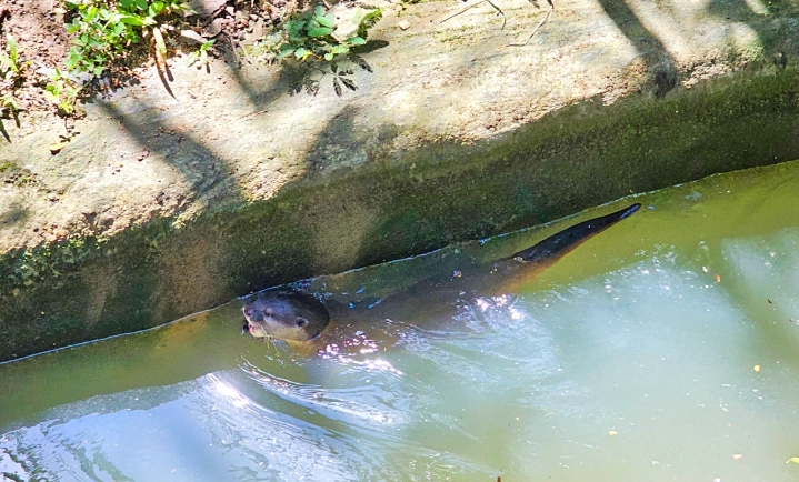宿霧旅遊景點 宿霧旅遊景點