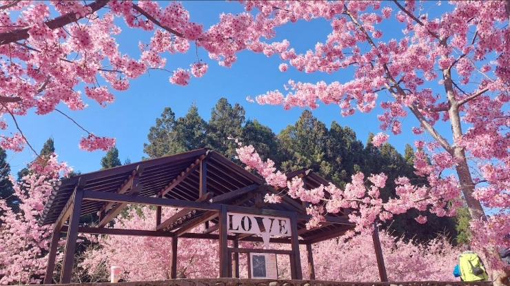 福壽山農場行程 福壽山農場行程