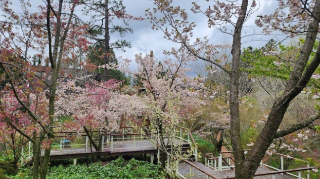 福壽山農場行程