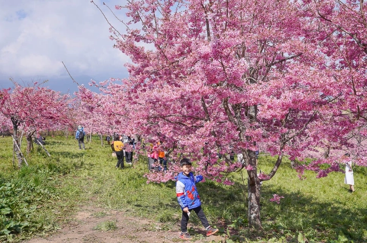 福壽山農場旅遊