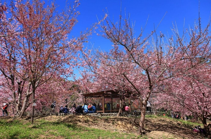 福壽山農場旅遊