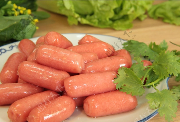 家庭香腸食譜 家庭香腸食譜