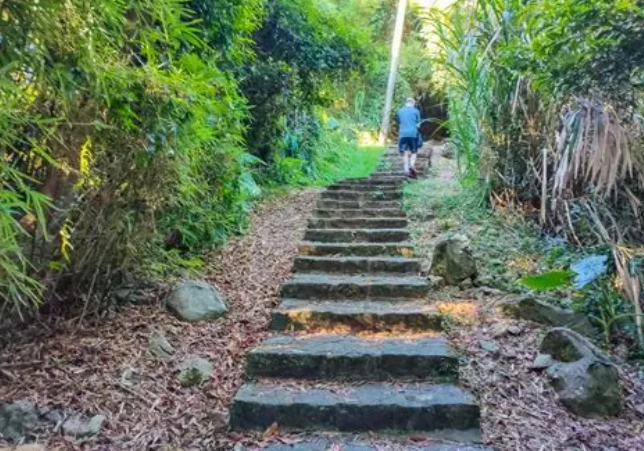 北投步道推薦 北投步道推薦