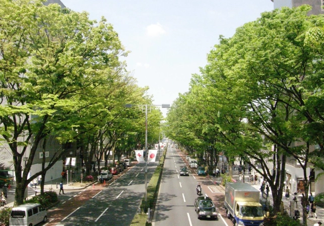 表參道購物 表參道購物