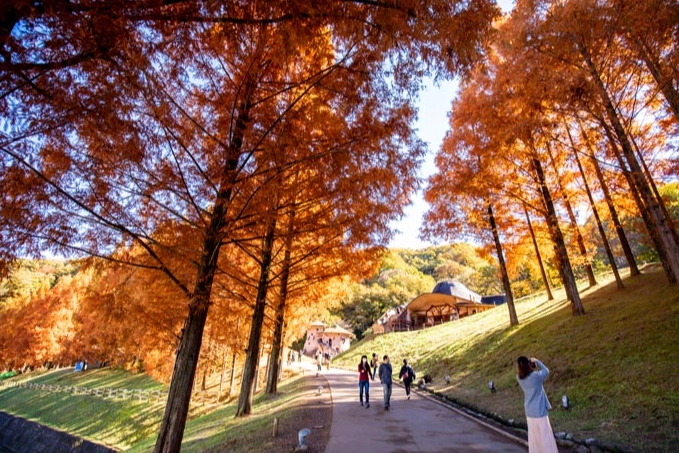 福壽山農場怎麼去 福壽山農場怎麼去