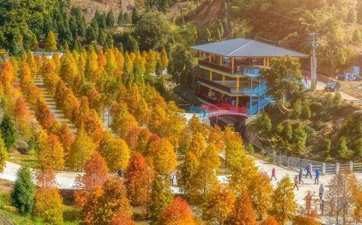 福壽山農場怎麼去 福壽山農場怎麼去