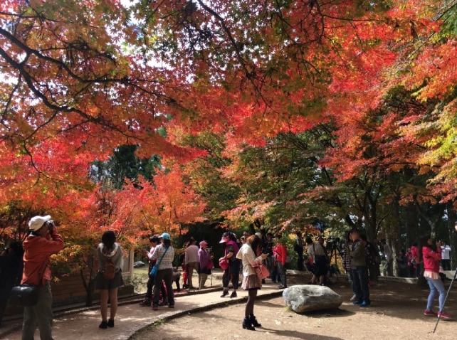 福壽山農場自駕