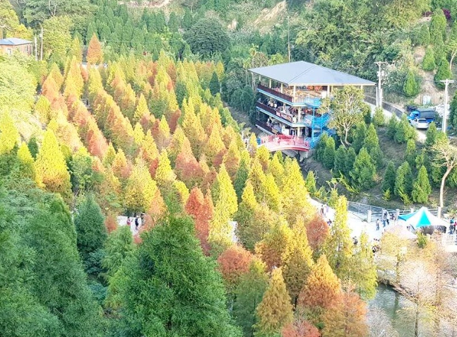 福壽山農場交通方式 福壽山農場交通方式