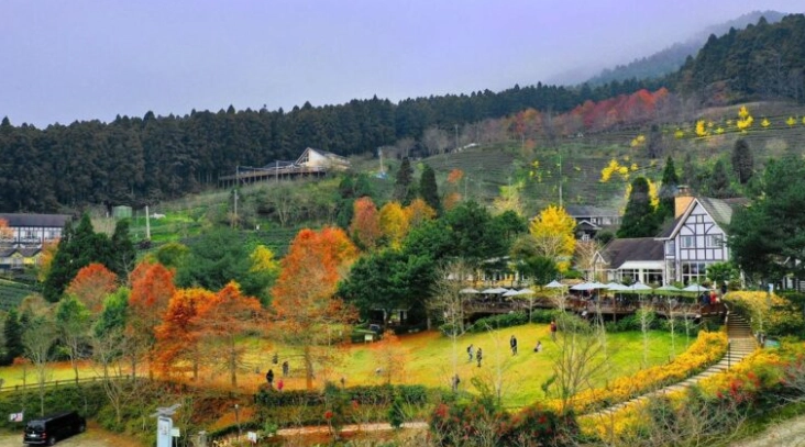 福壽山農場交通方式 福壽山農場交通方式