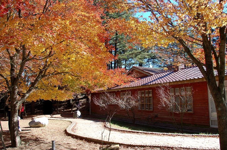 福壽山農場巴士