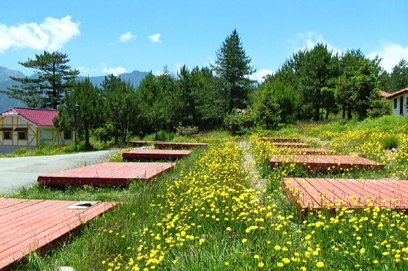 福壽山農場自駕