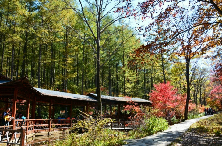 福壽山農場交通方式 福壽山農場交通方式