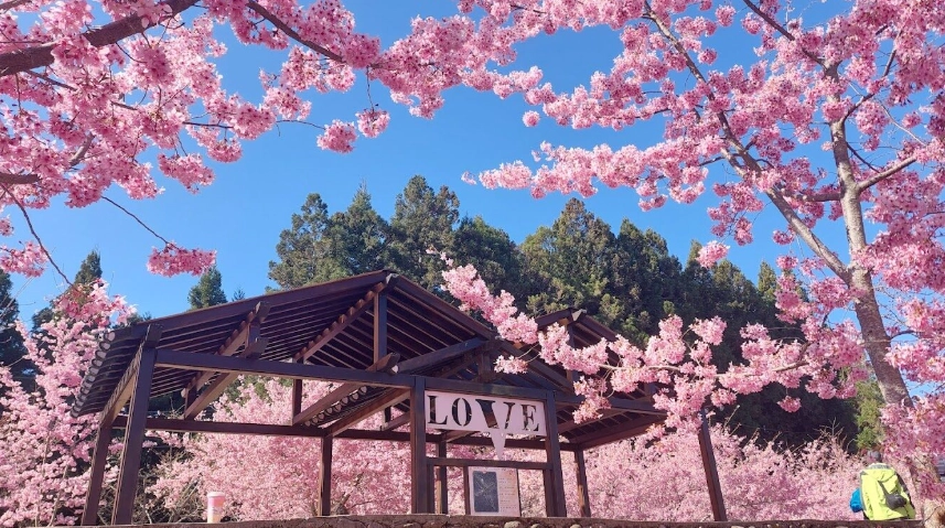 福壽山農場一日遊交通 福壽山農場一日遊交通